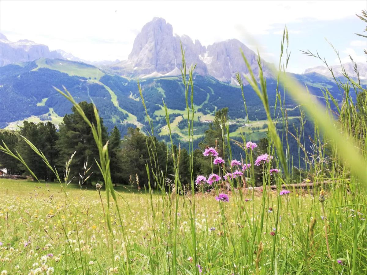 Hotel Oswald Selva di Val Gardena Bagian luar foto